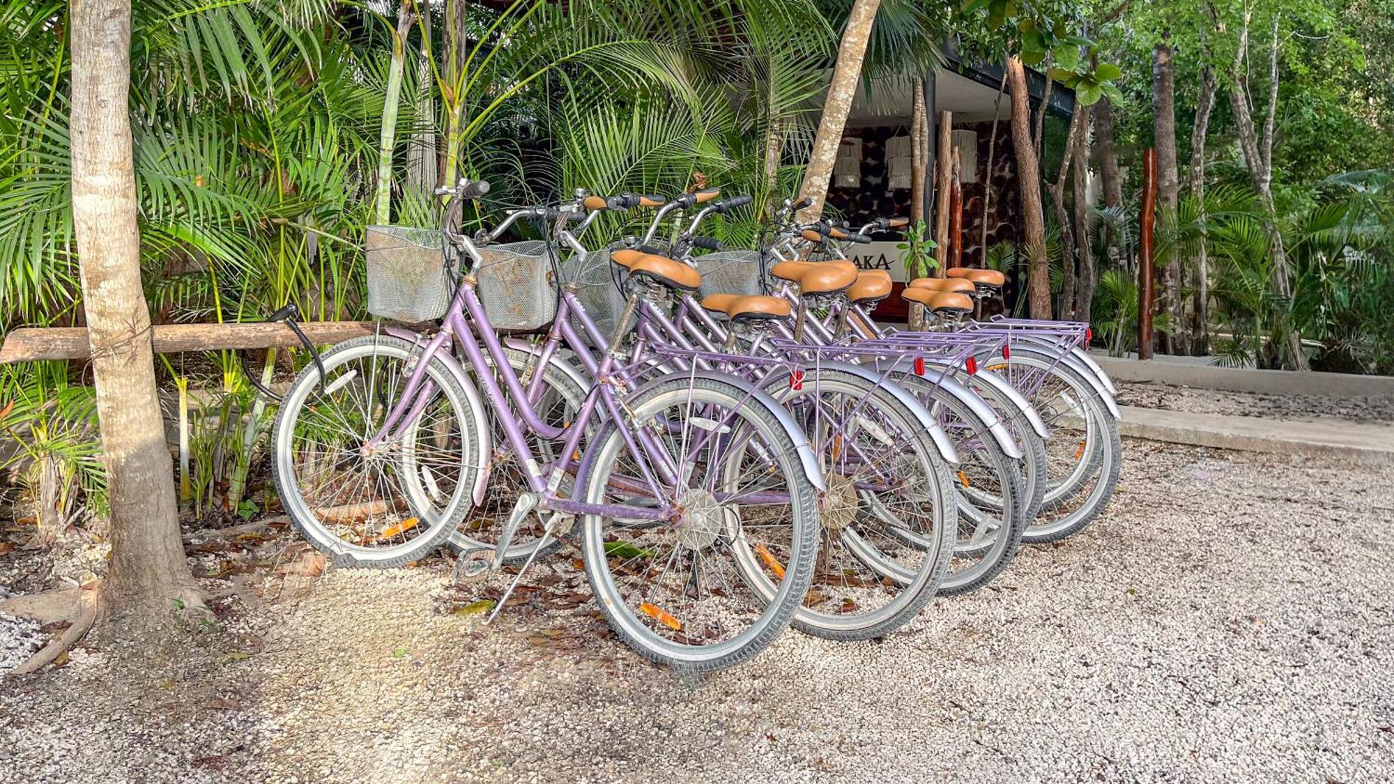 Amaka Calma Tulum Hotel Eksteriør billede
